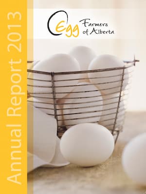 2013-Annual_Report