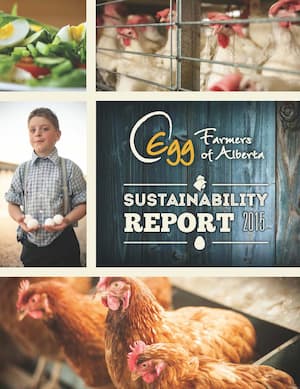 2015-Sustainability_Report