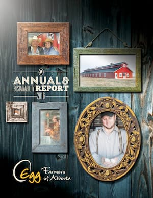 2016-Annual_Report
