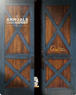 2017-Annual_Report