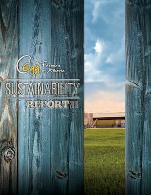 2019-Sustainability_Report
