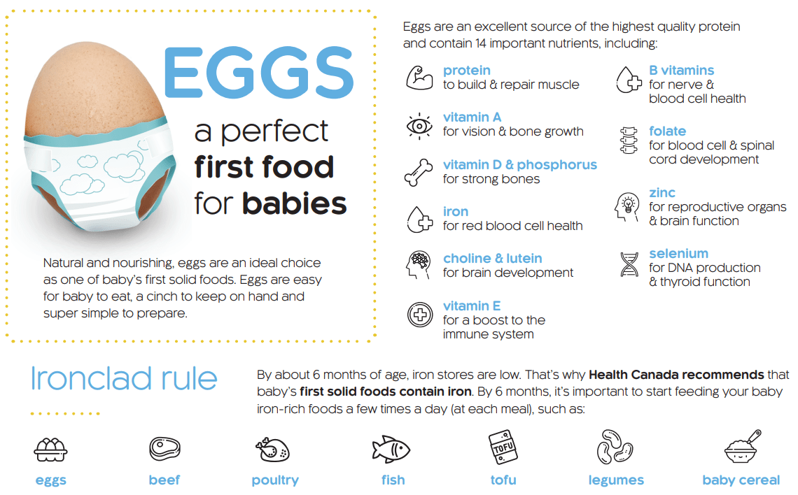 Eggs&Baby