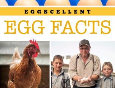 Eggscellent_Egg_Facts-370x284