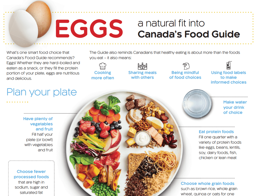 Food guide