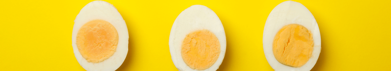 eggs row2