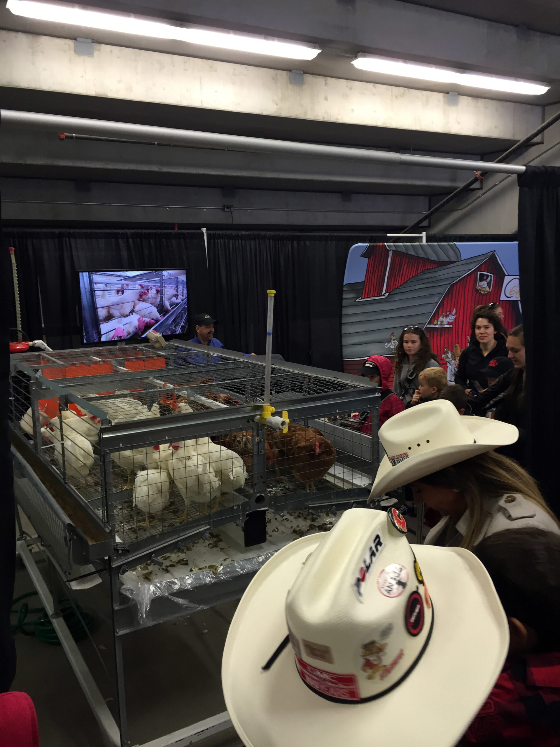 Stampede2016-13