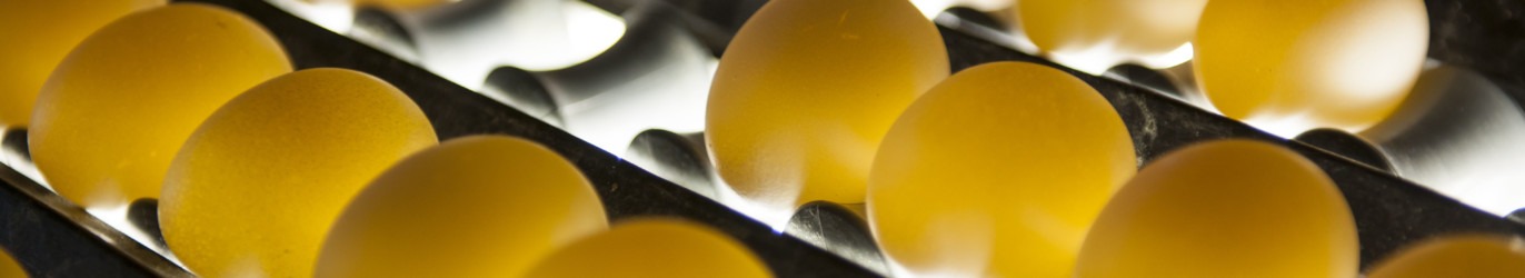foodsafety-1372x250-1555362366